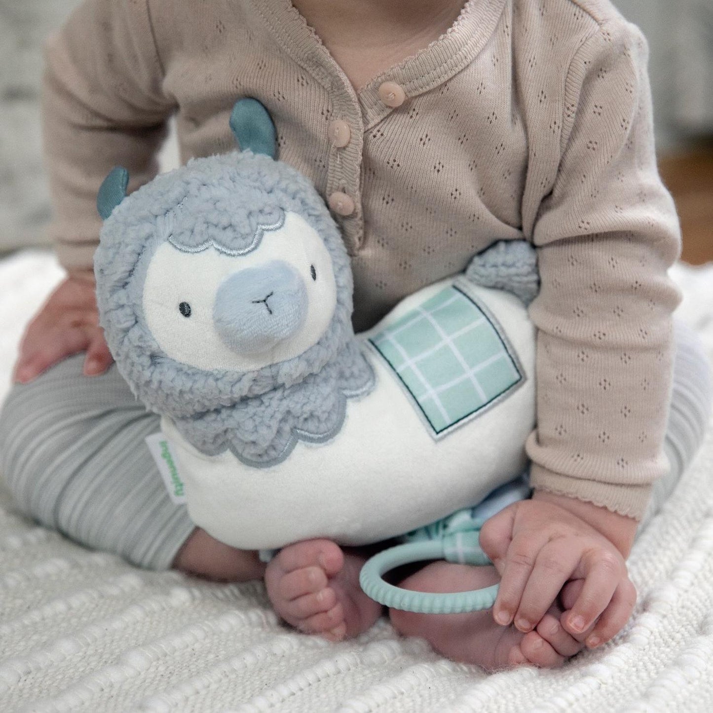 jpg_1500x1500_49751286